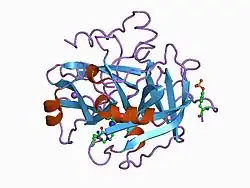 1a46: THROMBIN COMPLEXED WITH HIRUGEN AND A BETA-STRAND MIMETIC INHIBITOR