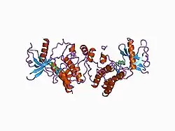 1agw: CRYSTAL STRUCTURE OF THE TYROSINE KINASE DOMAIN OF FIBROBLAST GROWTH FACTOR RECEPTOR 1 IN COMPLEX WITH SU4984 INHIBITOR