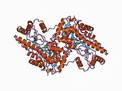 1ajr: REFINEMENT AND COMPARISON OF THE CRYSTAL STRUCTURES OF PIG CYTOSOLIC ASPARTATE AMINOTRANSFERASE AND ITS COMPLEX WITH 2-METHYLASPARTATE