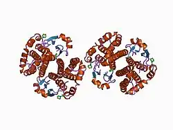 1aqw: GLUTATHIONE S-TRANSFERASE IN COMPLEX WITH GLUTATHIONE