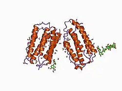 1au1: HUMAN INTERFERON-BETA CRYSTAL STRUCTURE