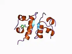 1ben: INSULIN COMPLEXED WITH 4-HYDROXYBENZAMIDE