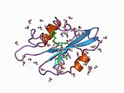 1bkm: COCRYSTAL STRUCTURE OF D-AMINO ACID SUBSTITUTED PHOSPHOPEPTIDE COMPLEX