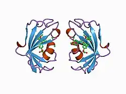 1bl4: FKBP MUTANT F36V COMPLEXED WITH REMODELED SYNTHETIC LIGAND