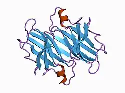 1bmz: HUMAN TRANSTHYRETIN (PREALBUMIN)