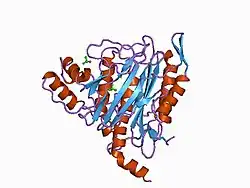 1bn5: HUMAN METHIONINE AMINOPEPTIDASE 2