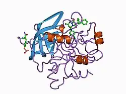 1c4y: SELECTIVE NON-ELECTROPHILIC THROMBIN INHIBITORS