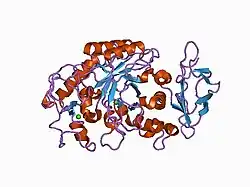 1c8q: STRUCTURE SOLUTION AND REFINEMENT OF THE RECOMBINANT HUMAN SALIVARY AMYLASE