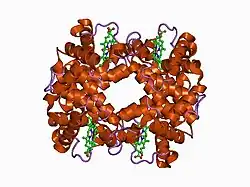 1coh: STRUCTURE OF HAEMOGLOBIN IN THE DEOXY QUATERNARY STATE WITH LIGAND BOUND AT THE ALPHA HAEMS