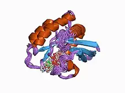 1crr: THE SOLUTION STRUCTURE AND DYNAMICS OF RAS P21. GDP DETERMINED BY HETERONUCLEAR THREE AND FOUR DIMENSIONAL NMR SPECTROSCOPY