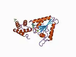 1d2n: D2 DOMAIN OF N-ETHYLMALEIMIDE-SENSITIVE FUSION PROTEIN