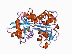 1d3k: HUMAN SERUM TRANSFERRIN