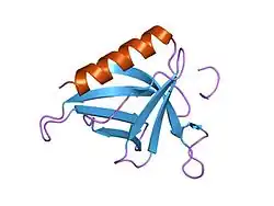 1ddv: CRYSTAL STRUCTURE OF THE HOMER EVH1 DOMAIN WITH BOUND MGLUR PEPTIDE