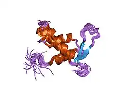 1e17: SOLUTION STRUCTURE OF THE DNA BINDING DOMAIN OF THE HUMAN FORKHEAD TRANSCRIPTION FACTOR AFX (FOXO4)