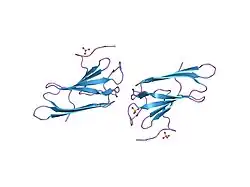 1ejf: CRYSTAL STRUCTURE OF THE HUMAN CO-CHAPERONE P23
