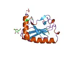 1fit: FHIT (FRAGILE HISTIDINE TRIAD PROTEIN)