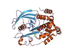 1gfy: RESIDUE 259 IS A KEY DETERMINANT OF SUBSTRATE SPECIFICITY OF PROTEIN-TYROSINE PHOSPHATASE 1B AND ALPHA