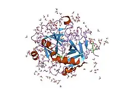 1gj4: SELECTIVITY AT S1, H2O DISPLACEMENT, UPA, TPA, SER190/ALA190 PROTEASE, STRUCTURE-BASED DRUG DESIGN