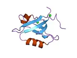 1gq5: STRUCTURAL DETERMINANTS OF THE NHERF INTERACTION WITH BETA2-AR AND PDGFR