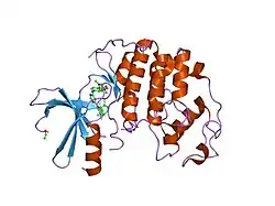 1h00: CDK2 IN COMPLEX WITH A DISUBSTITUTED 4, 6-BIS ANILINO PYRIMIDINE CDK4 INHIBITOR