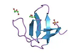 1hd3: A-SPECTRIN SH3 DOMAIN F52Y MUTANT