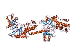 1hkc: RECOMBINANT HUMAN HEXOKINASE TYPE I COMPLEXED WITH GLUCOSE AND PHOSPHATE