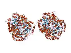 1i10: HUMAN MUSCLE L-LACTATE DEHYDROGENASE M CHAIN, TERNARY COMPLEX WITH NADH AND OXAMATE