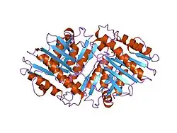 1imd: STRUCTURAL STUDIES OF METAL BINDING BY INOSITOL MONOPHOSPHATASE: EVIDENCE FOR TWO-METAL ION CATALYSIS