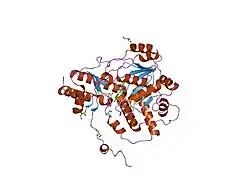 1j04: Structural mechanism of enzyme mistargeting in hereditary kidney stone disease in vitro