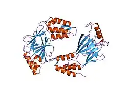 1j2f: X-ray crystal structure of IRF-3 and its functional implications