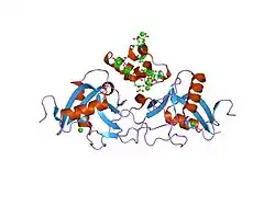 1j35: Crystal Structure of Ca(II)-bound Gla Domain of Factor IX Complexed with Binding Protein