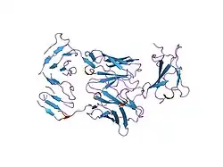 1jrh: COMPLEX (ANTIBODY/ANTIGEN)
