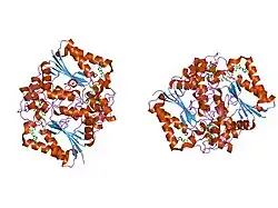 1kbq: Complex of Human NAD(P)H quinone Oxidoreductase with 5-methoxy-1,2-dimethyl-3-(4-nitrophenoxymethyl)indole-4,7-dione (ES936)