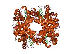 1kd2: Crystal Structure of Human Deoxyhemoglobin in Absence of Any Anions