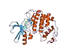 1ke6: CYCLIN-DEPENDENT KINASE 2 (CDK2) COMPLEXED WITH N-METHYL-{4-[2-(7-OXO-6,7-DIHYDRO-8H-[1,3]THIAZOLO[5,4-E]INDOL-8-YLIDENE)HYDRAZINO]PHENYL}METHANESULFONAMIDE