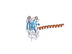 1l0a: DOWNSTREAM REGULATOR TANK BINDS TO THE CD40 RECOGNITION SITE ON TRAF3