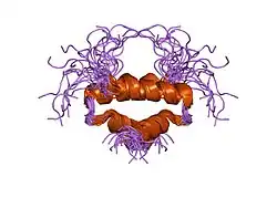 1l6e: Solution structure of the docking and dimerization domain of protein kinase A II-alpha (RIIalpha D/D). Alternatively called the N-terminal dimerization domain of the regulatory subunit of protein kinase A.