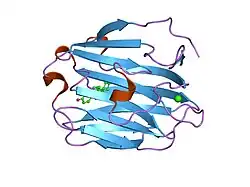 1lhu: CRYSTAL STRUCTURE OF THE N-TERMINAL LG-DOMAIN OF SHBG IN COMPLEX WITH ESTRADIOL
