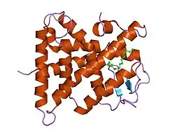 1lv2: Hepatocyte Nuclear Factor 4 is a Transcription Factor that Constitutively Binds Fatty Acids