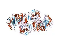 1lxt: STRUCTURE OF PHOSPHOTRANSFERASE PHOSPHOGLUCOMUTASE FROM RABBIT
