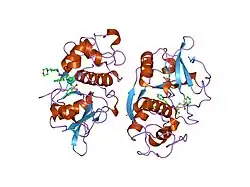 1m6d: Crystal structure of human cathepsin F