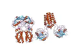1m9x: X-ray crystal structure of Cyclophilin A/HIV-1 CA N-terminal domain (1-146) M-type H87A,A88M,G89A Complex.
