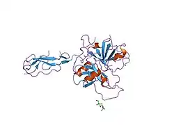 1md7: Monomeric structure of the zymogen of complement protease C1r