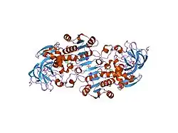 1mp0: Binary Complex of Human Glutathione-Dependent Formaldehyde Dehydrogenase with NAD(H)