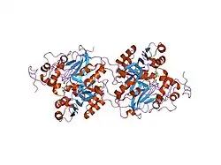 1mu7: Crystal Structure of a Human Tyrosyl-DNA Phosphodiesterase (Tdp1)-Tungstate Complex