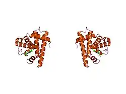 1myj: DISTAL POLARITY IN LIGAND BINDING TO MYOGLOBIN: STRUCTURAL AND FUNCTIONAL CHARACTERIZATION OF A THREONINE68(E11) MUTANT