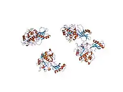 1nb3: Crystal structure of stefin A in complex with cathepsin H: N-terminal residues of inhibitors can adapt to the active sites of endo-and exopeptidases