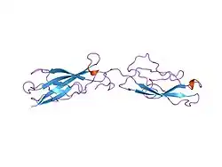 1ncj: N-CADHERIN, TWO-DOMAIN FRAGMENT