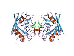 1nmk: The Sanglifehrin-Cyclophilin Interaction: Degradation Work, Synthetic Macrocyclic Analogues, X-ray Crystal Structure and Binding Data