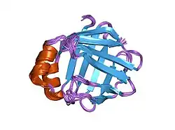 1o1u: human ileal lipid-binding protein (ILBP) in free form